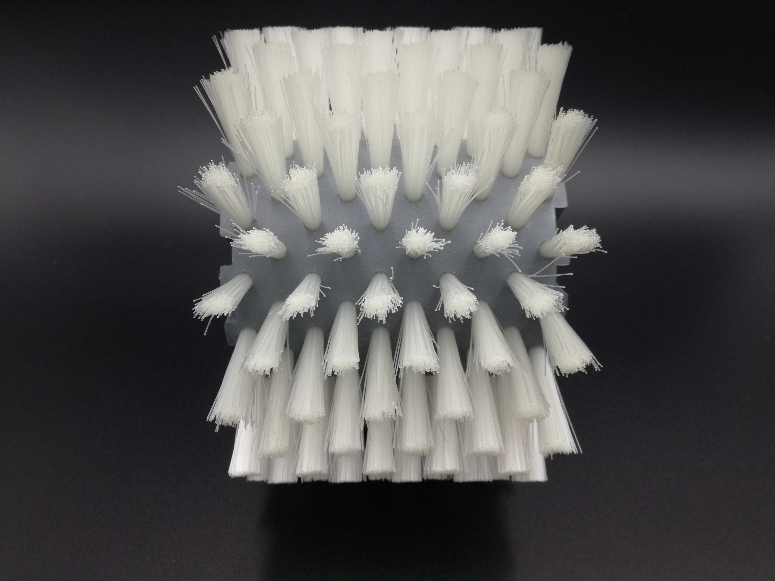 El polipropileno y los cepillos