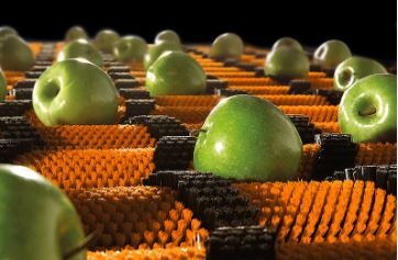 Cepillos Sector Hortofrutícola