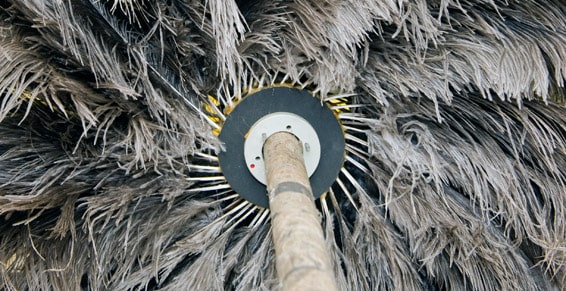 Cepillo antiestático de pluma avestruz