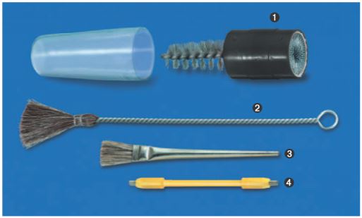 cepillos brocha y rascadores cepillos brocha y rascadores