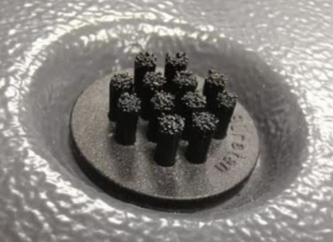 cepillop proteccion (1)