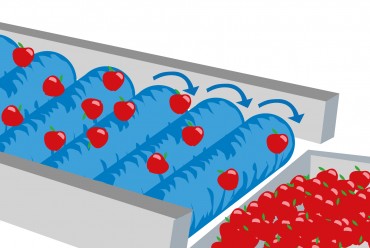 cepillos transportadores cepillo de transporte