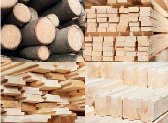 cepillos para tratar la madera