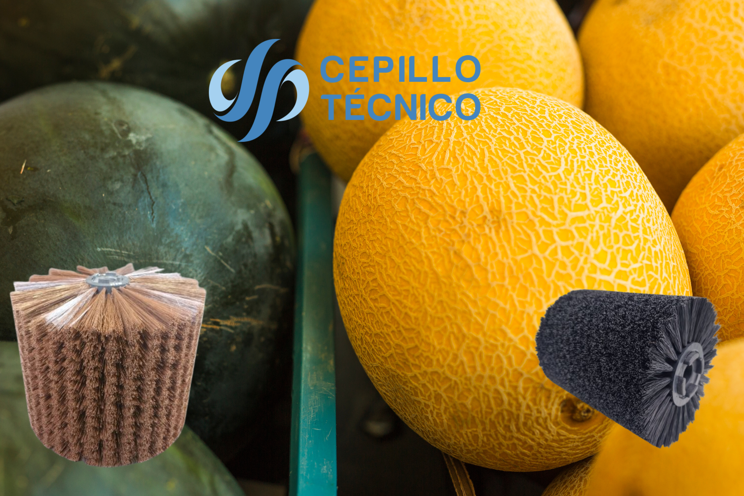Cepillos cilíndricos para melon y sandía Cepillos cilíndricos para melon y sandía